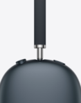 apple_max_gal